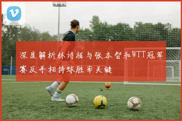 深度解析林诗栋与张本智和WTT冠军赛反手相持球胜率关键
