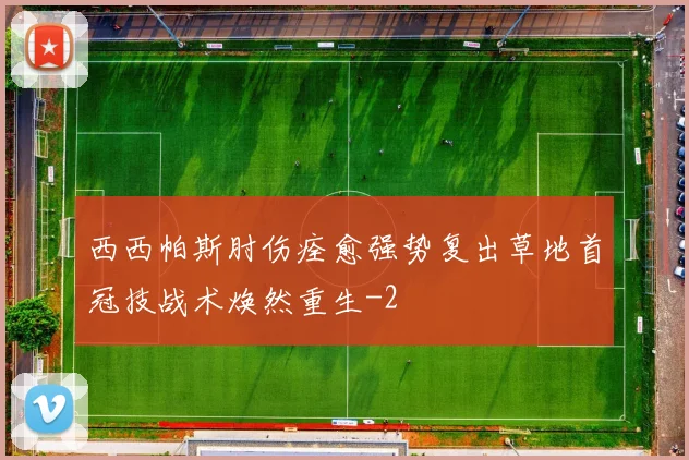 西西帕斯肘伤痊愈强势复出草地首冠技战术焕然重生