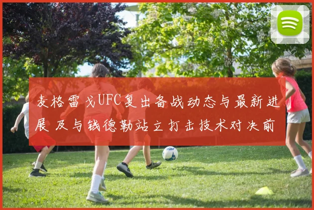 麦格雷戈UFC复出备战动态与最新进展 及与钱德勒站立打击技术对决前瞻