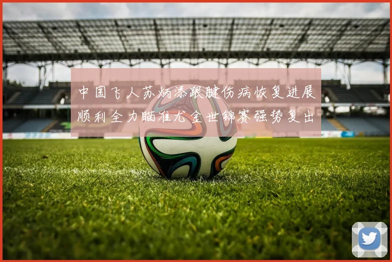 中国飞人苏炳添跟腱伤病恢复进展顺利全力瞄准尤金世锦赛强势复出